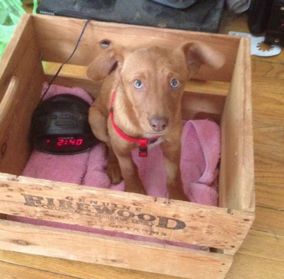 Screen Shot 2016-04-05 at 7.13.49 PM